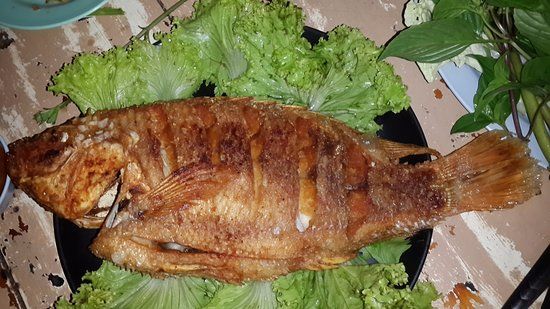 Citirin Food and Drink